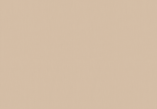 LP5408 Bella Cashew