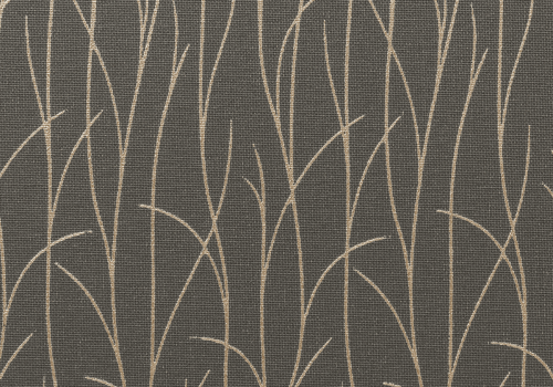 Sio Charcoal