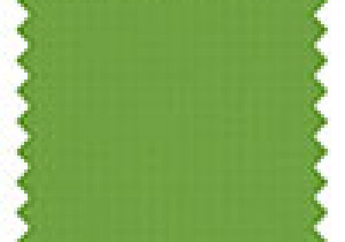 Unicolour Kiwi