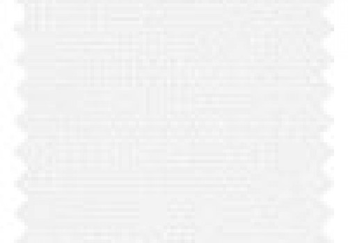 Unicolour White