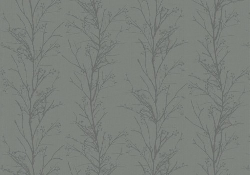 treviso graphite v2