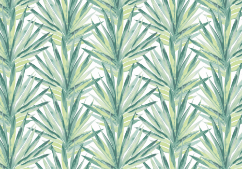 tropic lima