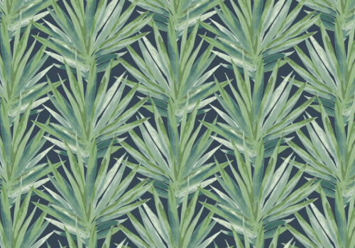 tropic rumba